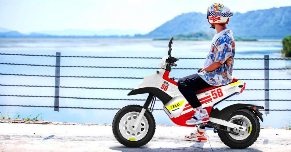 MOTO ELECTRICA FELO FW03 6 KW - vehículos eléctricos